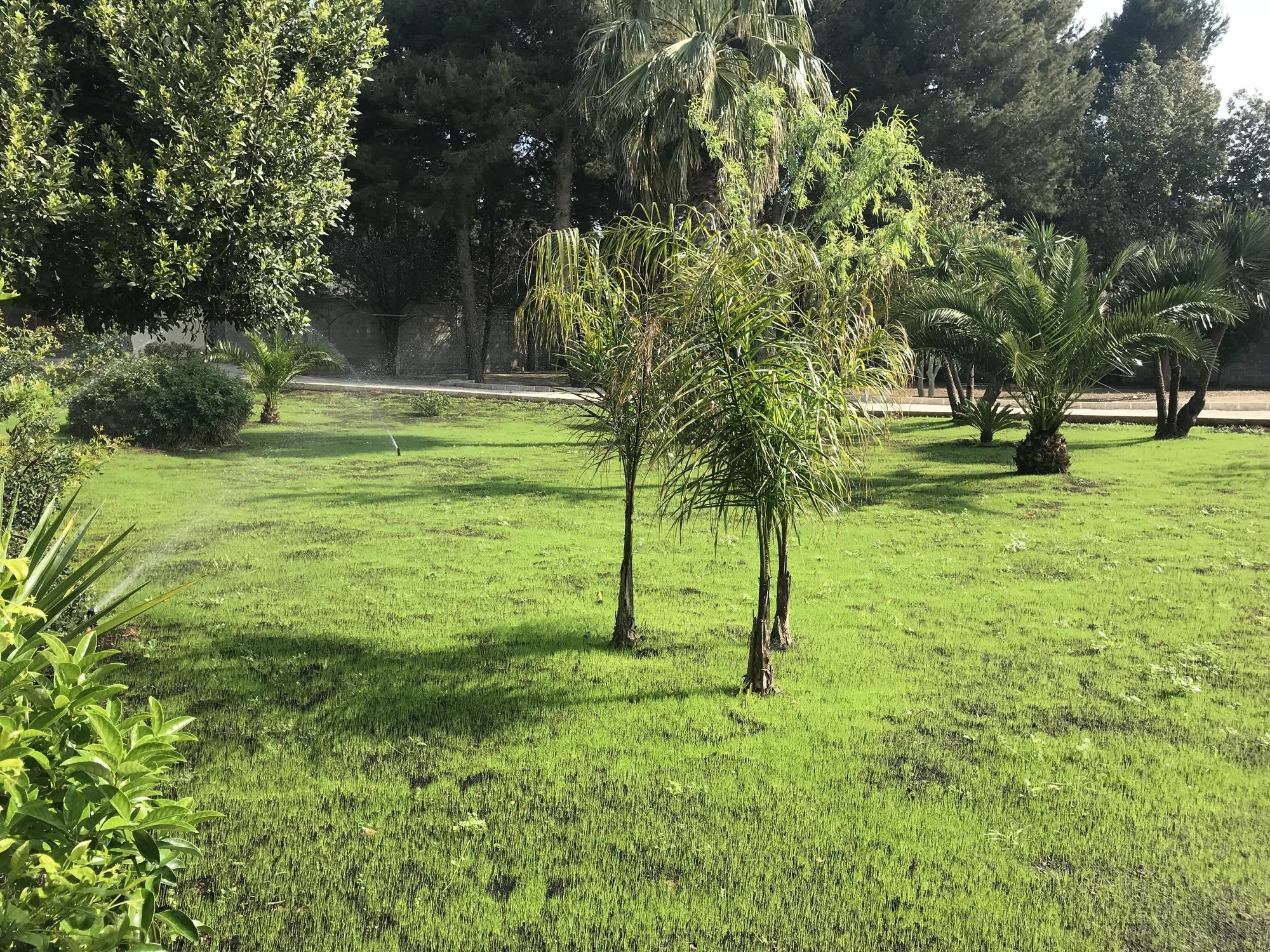 B&B Villa Jonica Gallipoli Buitenkant foto
